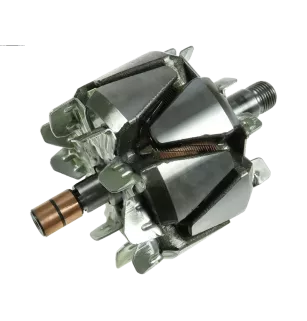 Rotor der Lichtmaschinen für Ford 2S6T10300AA, 3S6T10300AA, 3S6TAA
