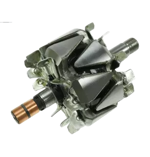 Rotor der Lichtmaschinen für ISKRA / LETRIKA 11203181, AAK5388