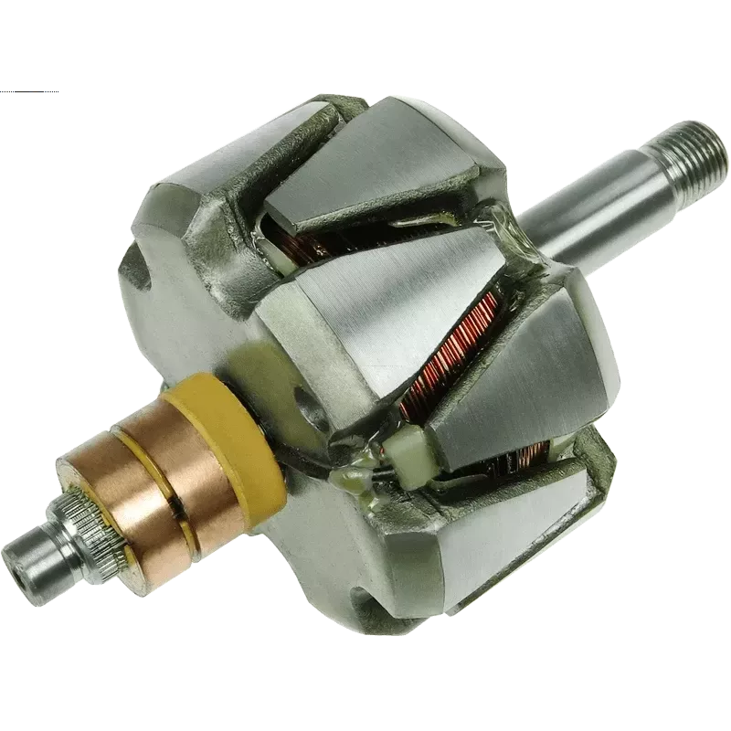 Rotor de alternadores para Iskra / Letrika 11203524, 11204062