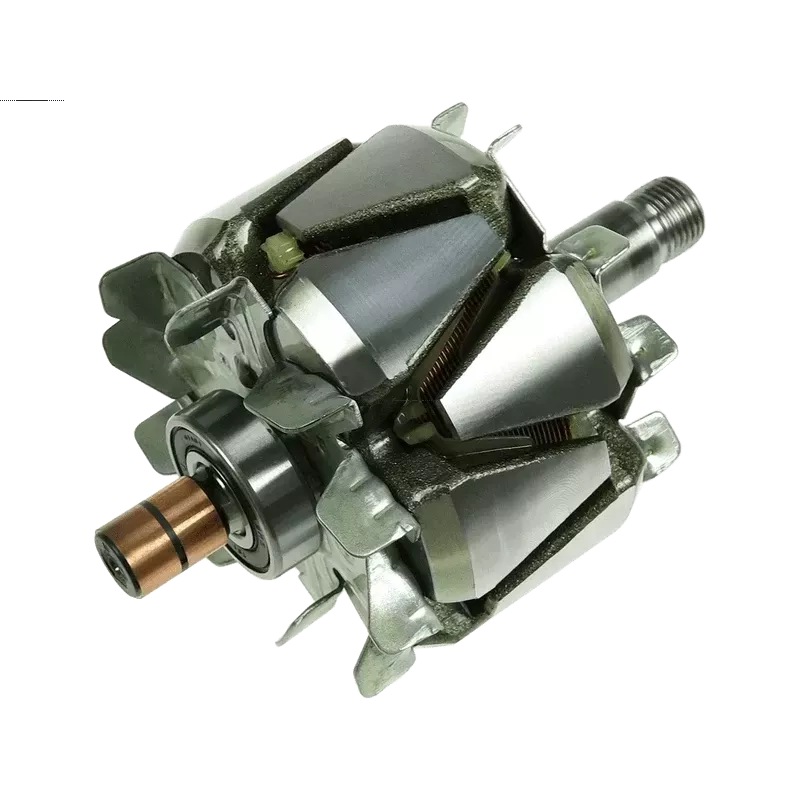 Rotore di alternatori per Ford 2S6T10300FA, 2S6T10300FC, 3S5T10300AA