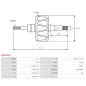 Rotor d’alternateurs pour ISKRA / LETRIKA 11203739 , 11204172