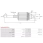 Induit démarreur pour BOSCH 0001109288, 0001109289, 0001109290, 0001109304, 0001109305