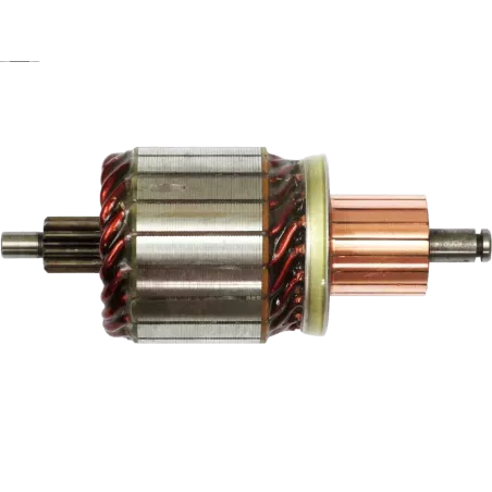 Induit démarreur pour BOSCH 0001223018, 0001223019