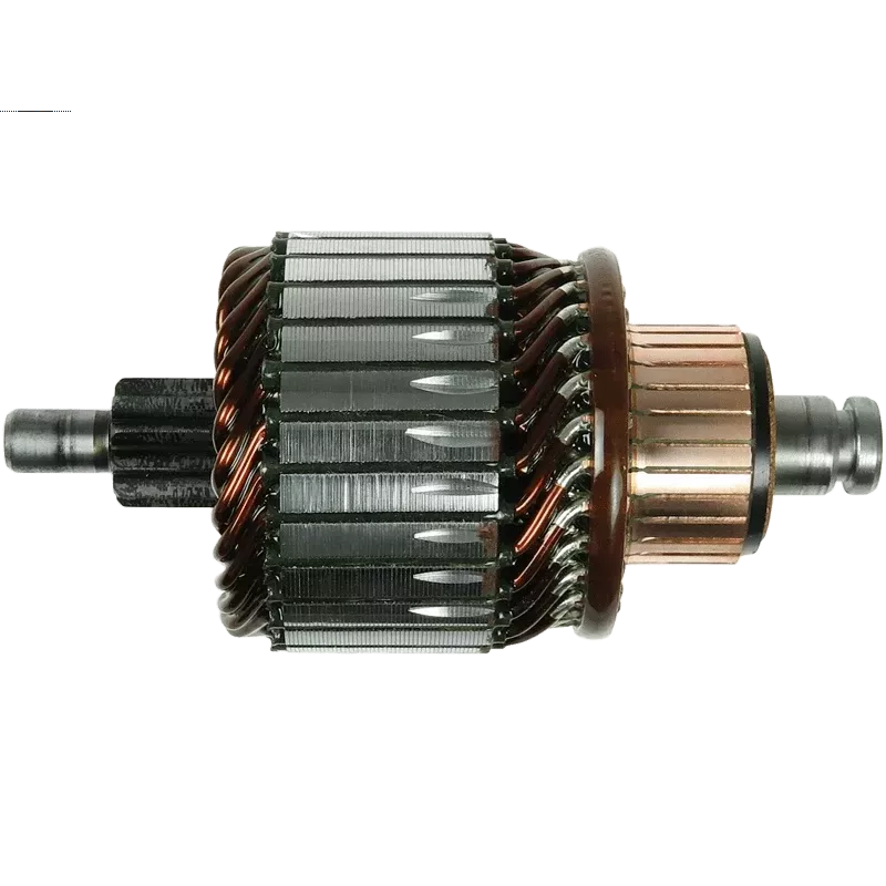 Cópia de Cópia de Cópia de Cópia de Cópia de Cópia de Cópia de Cópia de Cópia de Cópia de Cópia de Rotor d’alternat