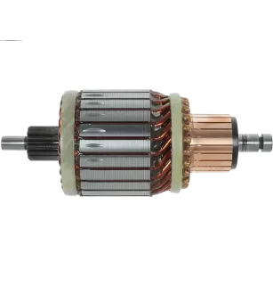 Induit démarreur pour BOSCH 0001106014