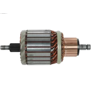 Cópia de Cópia de Cópia de Cópia de Cópia de Cópia de Cópia de Cópia de Cópia de Cópia de Cópia de Rotor d’alternat