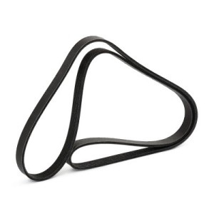 Courroie Poly-V FORD 1761929, CM5Q6C301BA, CM5Z8620F