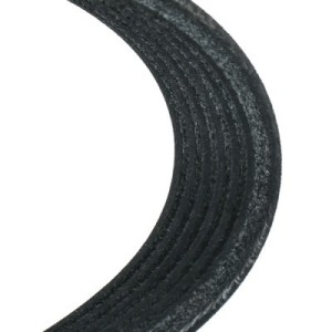 Courroie Poly-V AUDI 078903137AN, 11287631811, 11287552236