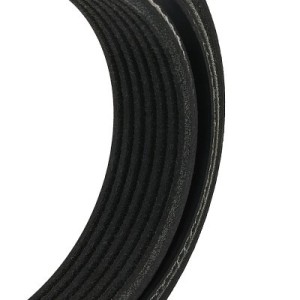 Courroie Poly-V FORD 1099893, 1129182, YC1E6C301BB