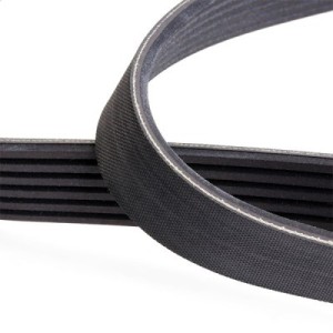 Courroie Poly-V CHEVROLET 25182242, 25182242, 4802240