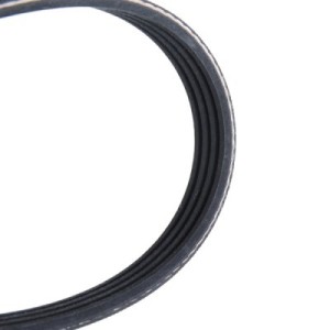 Courroie Poly-V BMW 64552246732, 9004831013000, 9004831018000