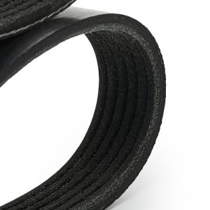 Courroie Poly-V AUDI 06A145933D, 06J260849D, 06A145933D