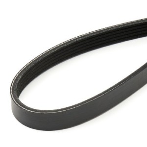 Courroie Poly-V CHEVROLET 55562418, 46510593, 4723288