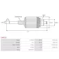 Induit démarreur pour ISKRA / LETRIKA 11131260, 11131300, 11131318, 11131352