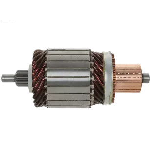 Induit démarreur pour ISKRA / LETRIKA 11131802, 11131813, 11131820, 11