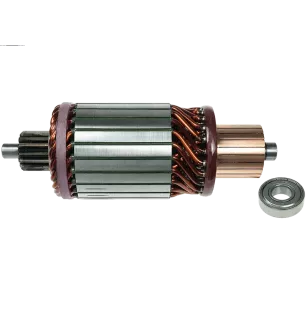 Induit démarreur pour 11132231, 11132365, 11132366, AZF4178, AZF4194