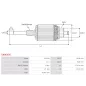 Induit démarreur pour ISKRA / LETRIKA 11131848, 11132009, 11132367