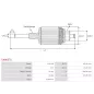 Induit démarreur pour ISKRA / LETRIKA 11130491, 11130492, 11130598, 11130686, 11131006