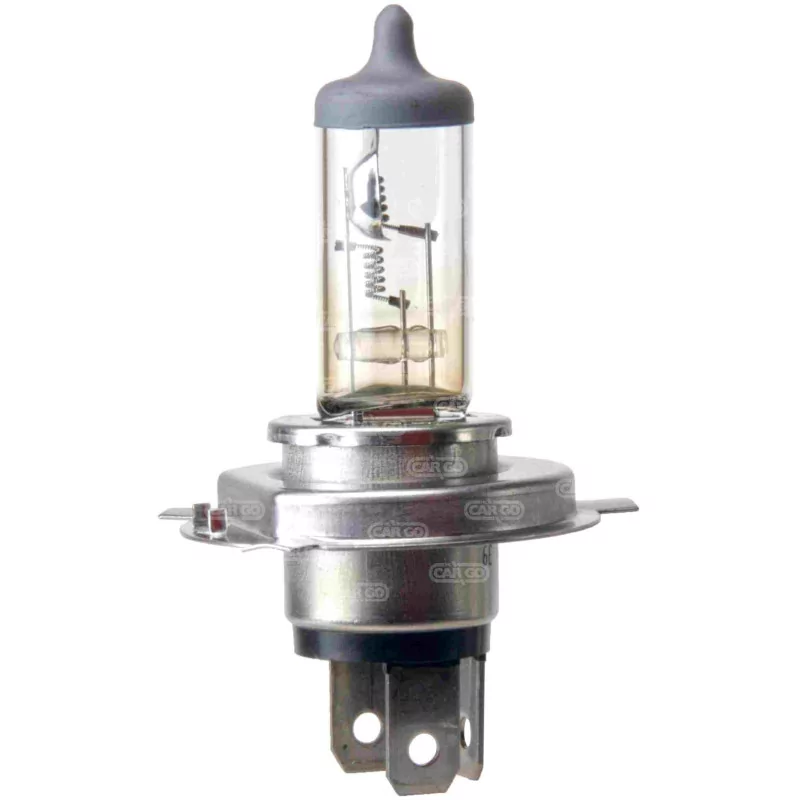 Ampoule H4 24V 100/70W