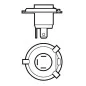 Ampulle H4 24V 100/70W