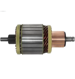 Induit démarreur pour ISKRA / LETRIKA AZE2202, AZE2219, AZE2224, AZE22