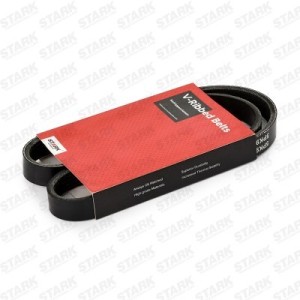 Correia poli-V BMW 11281437873, 11281469262, 11281470024