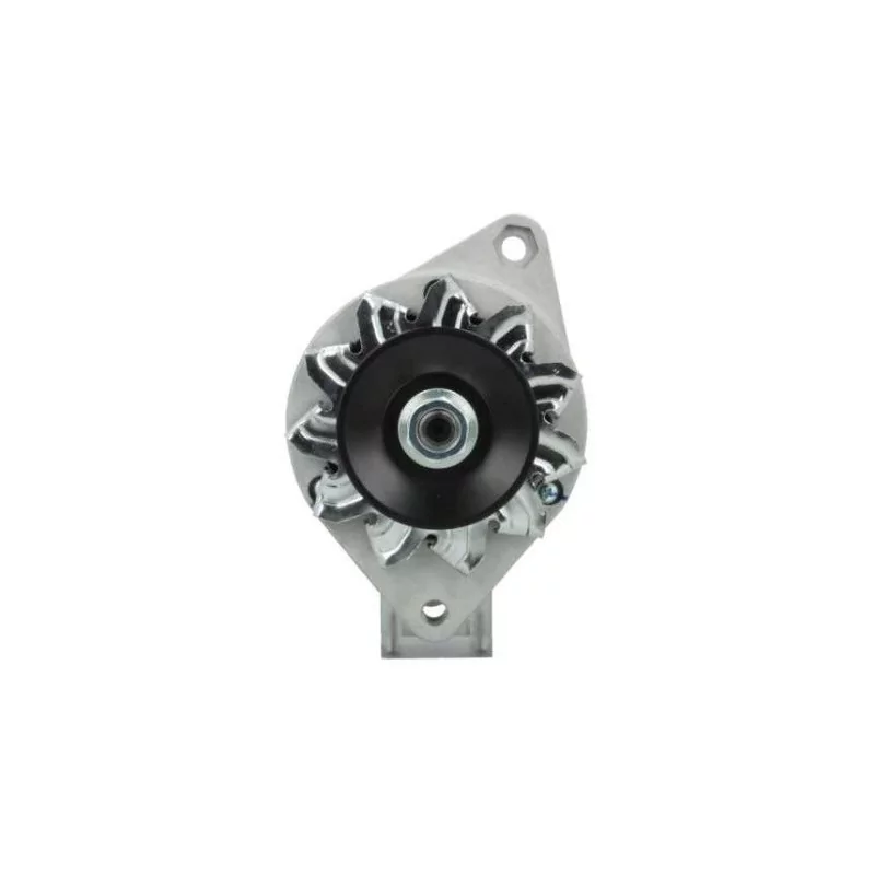 Alternateur Fiat 33A, Bosch 0120300528, Bosch ruil 0986030120