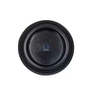 Almofada de ar para DAF CF, XF - 1794422