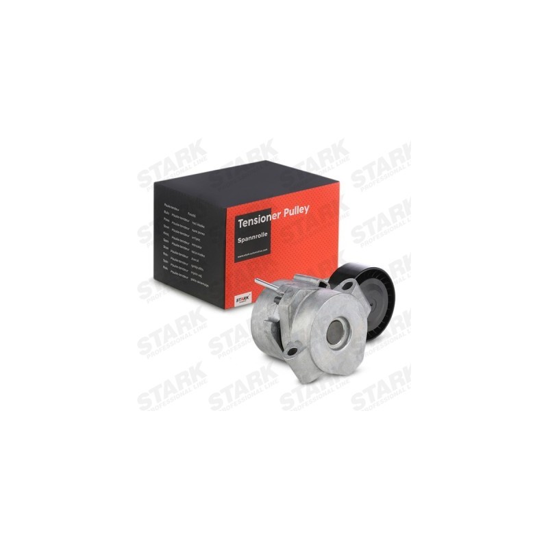 Poulie, tendeur de courroie d'accessoire CITROËN 5751F2, 9658142780, 1420513