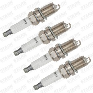 Bougie d'allumage 101905621B, P700000313, 3707010G01