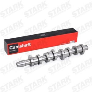 Arbre à came AUDI XM216251AA, 038109101R