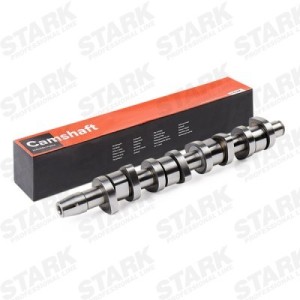 Arbre à came AUDI 038109101AH