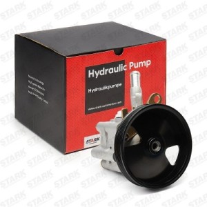 Pompe de direction assistée NISSAN 491109F600