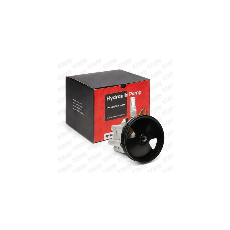 Pompe de direction assistée NISSAN 491109F600