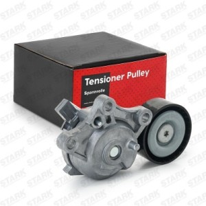 Poulie, tendeur de courroie d'accessoire CITROËN 1613255480, 1631481480, 9803757580