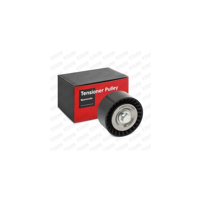 Poulie, tendeur de courroie d'accessoire CHEVROLET 96868478, 96868478, 4802597