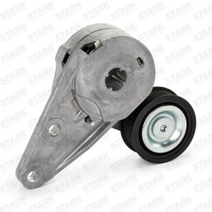 Poulie, tendeur de courroie d'accessoire FORD 1685618, 1800558, BM5Q6A228AA