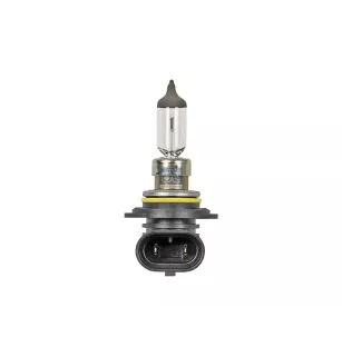 Ampoule, phare anti-brouillard, 12 V, HB4, 55 W, P22d Pour Iveco Daily, Nissan Interstar, NV400, Opel Movano, Renault Mascott