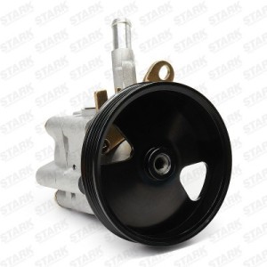 Pompe de direction assistée NISSAN 491109F600