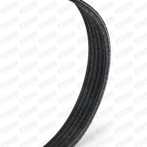 Courroie Poly-V CHEVROLET 55562418, 46510593, 4723288