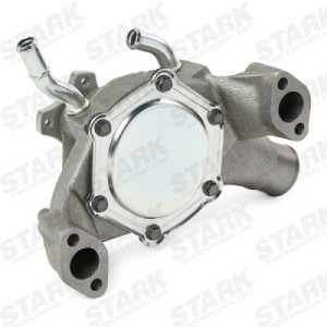 Pompe à eau CADILLAC 12532528, 12528917, 1252981