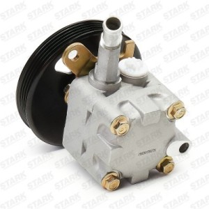 Pompe de direction assistée NISSAN 491109F600