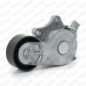 Poulie, tendeur de courroie d'accessoire CITROËN 1613255480, 1631481480, 9803757580