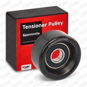 Poulie, tendeur de courroie d'accessoire GENESIS 2528104600, 2528125000, 252812CTA0