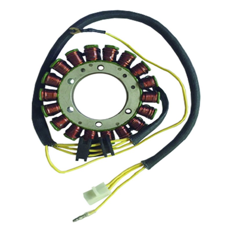Stator Remplace 50000455, 277023, 42X814102000