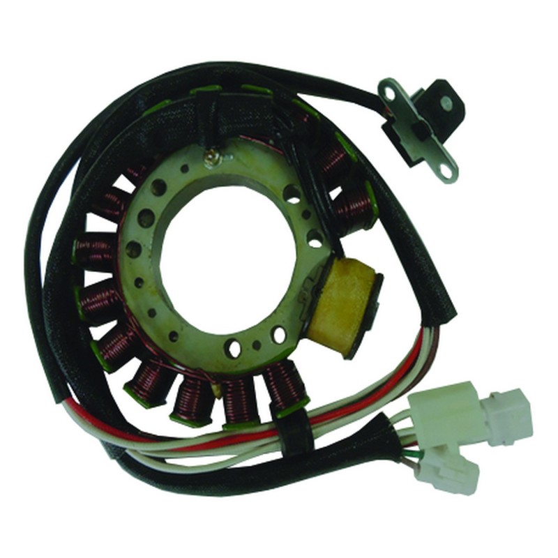 Stator Remplace 50000452, 277011, AYA4030