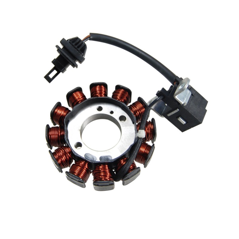 Stator Remplace 50000521, 277100, 969228