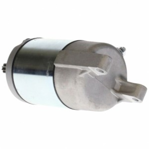 Démarreur Kwasaki 0.5 kw Remplace 400926092, RAS41193, RS41193