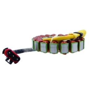 Stator Remplace 50000450, 277067, 4015340