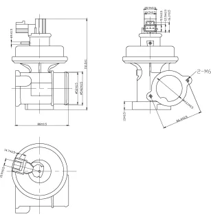 EGR Valve Plug No. 181998pl, With Gasket